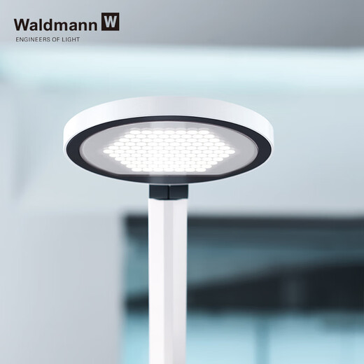 Waldmann imported from Germany children's eye protection desk lamp primary school students reading and learning work lamp anti-blue light LED lamp moonlight white (including base) 4000k