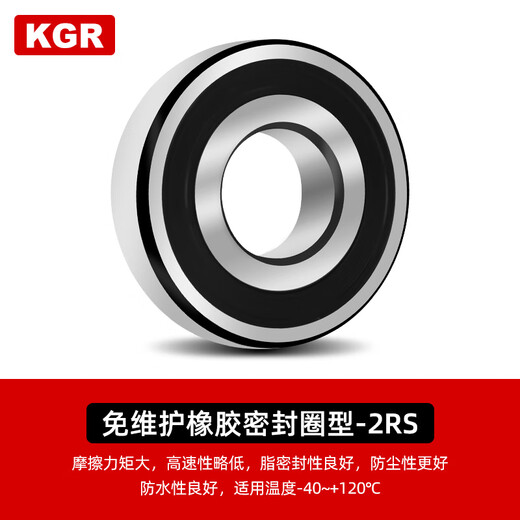 KGR importiert Hochgeschwindigkeit 6200 6201 6202 6203 6204 6205 6206RSZ Staubdicht und wasserdichtes Lager 6206-z/P4 Eisenversiegelung (30*62*16)