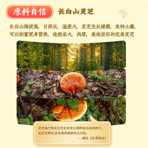 Nanjing Tongrentang Ganoderma Lucidum Polvo de esporas, pared rota Ganoderma Lucidum Spore Powder, Spore Powder, Linzhi Robe Powder, Middle-Eby y ancianos dan regalos, 1 disparo, 3 cajas, total [caja de regalo de mejora inmune]