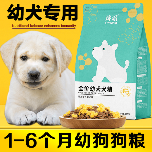 Universal Labrador puppy dog food for 0-6 months, small, medium and large dogs, Golden Retriever, Teddy Bichon, nutritional combination, stomach protection, calcium supplement, meat floss dog food 500g (1Jin Jin is equal to 0.5kg)