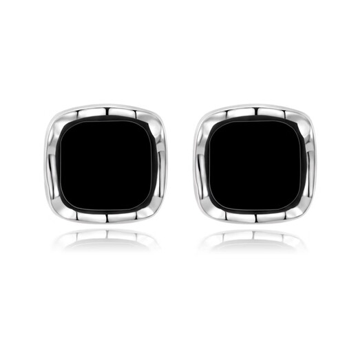 Lnieer Black Square Small Earrings Women's 925 Silver Needle Earrings 2025 New Exquisite Temperament High-level Ear Hole Earrings Silver Square Earrings 925 Silver Needle