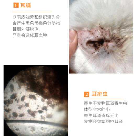 Special medicine for cat ear mites, pet earfuling ear anti-inflammatory ear drops, cleaning, removing mites, relieving itching, antibacterial cleaning liquid, single box, 10 ml bottle