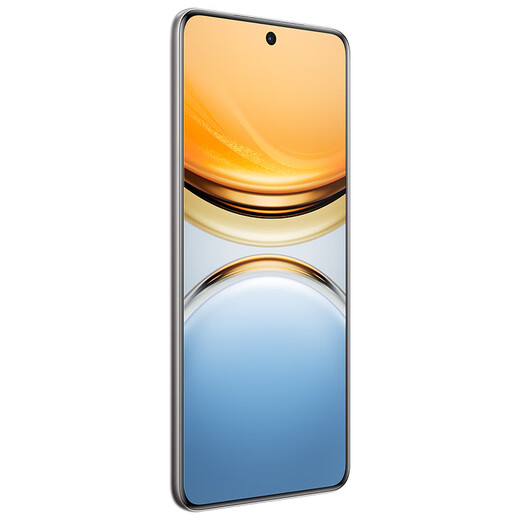 Vivo Y300 Pro 12GB+512GB titanium color 6500mAh ultra-thin blue ocean battery full depth micro four-curved screen SGS five-star anti-fall certification AI camera phone