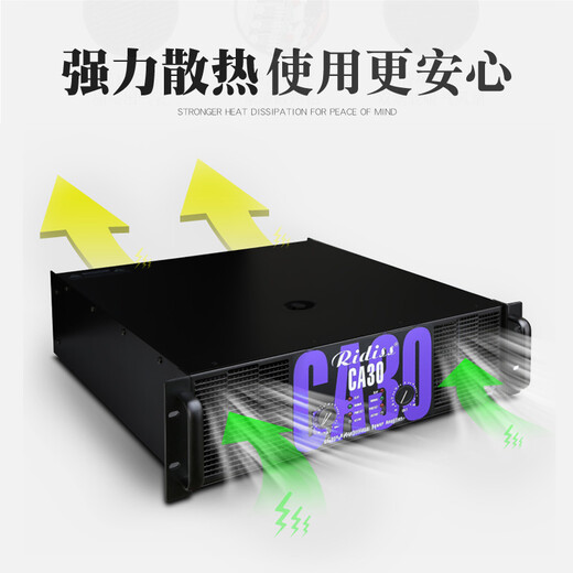 Ridiss amplificador de potencia profesional serie CA doble canal de alta potencia audio profesional escenario rendimiento de sonido ingeniería hogar KTV amplificador de potencia pura CA18 1200W*2