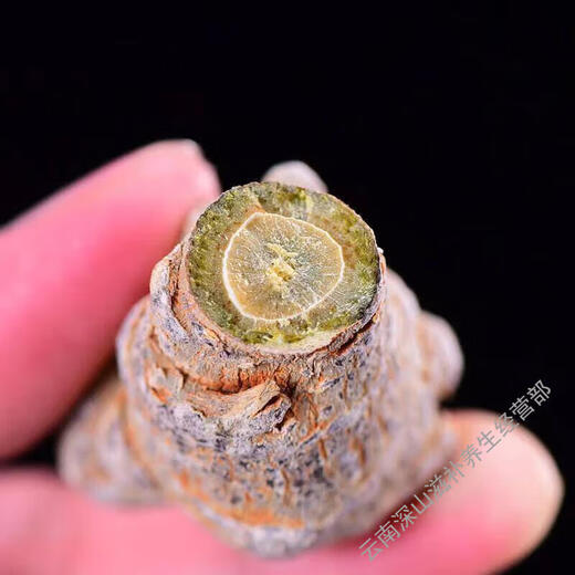 Yunnan Wenshan Spring Panax notoginseng whole wild Panax notoginseng wholesale price unwaxed Panax notoginseng heads soaked in water agricultural products 250g (15 pieces)