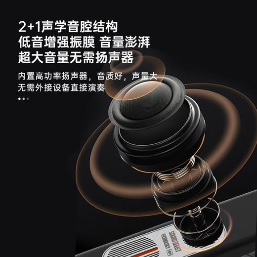 
Shengrui hair tube SR6000 beginner musical instrument domestic electric saxophone hoist silk blow tube white luxury gift bag