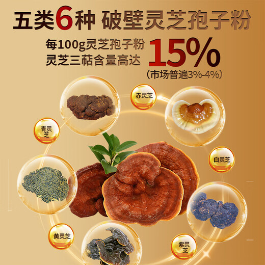 Ludsi de la pared de ruptura de cinco colores ganoderma lucidum cápsulas de polvo de esporas que tonifican productos nutricionales para personas de mediana edad y ancianos para mejorar la inmunidad y las visitas postoperatorias