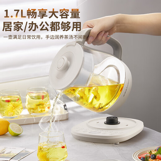 Royalstar Health Pot Kettle Fully Automatic 316 Constant Temperature Kettle 24h Constant Temperature Multi-Function Electric Kettle 1.7L Flower Teapot Tea Maker with Filter YSH1759Y (316L)