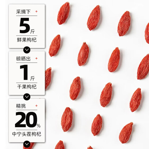 专茸行特优级枸杞胖东来枸杞子头茬宁夏无硫磺熏中宁大果新鲜250g