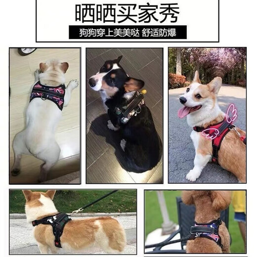 Five-tailed dog leash, dog leash, vest-type dog walking rope, harness, Corgi Shiba Inu medium and large dog chain, red harness + 1.5 meter leash S (recommended 10-18 Jin Jin equals 0.5 kg)