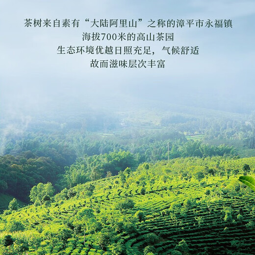 煌政漳平水仙茶 2025新春茶 高山乌龙茶 茗茶 清新浓香型 手工方块茶 PVC盒装250g【清香型】 好评收货下单可送精美礼盒