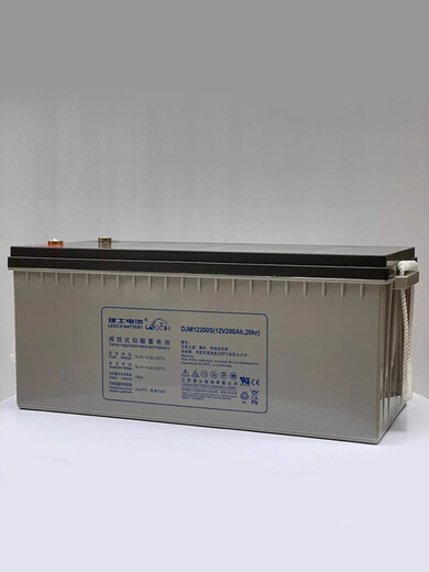 Renjuyi benutzerdefinierte DJM12200S-Blei-Säure-Batterie 12V200AH DC-Bildschirm-UPS/EPS-Kraftwerks-Kraftwerk Basisstation