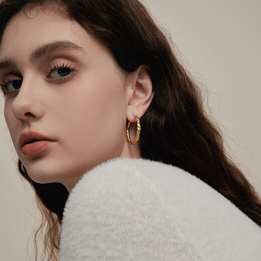 Arsis Innocence Era Earrings Oil Painting Rose Earrings Earrings Women's Light Luxury Fashion Earrings Girls Birthday Gifts for Girlfriends Oil Painting Rose Earrings