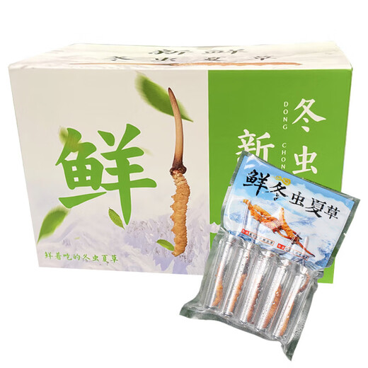 
Fudonghai Cordyceps gift box [Excellent quality whole piece] Select high-altitude freeze-dried high-clean and unbroken grass to give gifts. 10 fresh Cordyceps (freshly harvested and cold chain shipped)