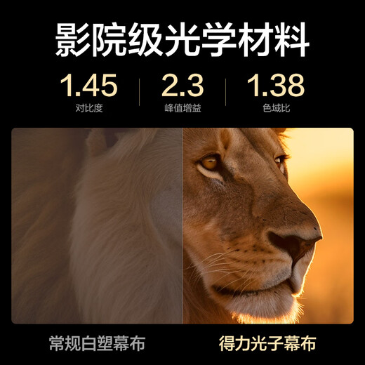 得力（deli）100英寸16:9悬挂光子幕布 臻享8K超清免打孔无甲醛家用投影幕布 适配极米坚果当贝投影仪 MS153