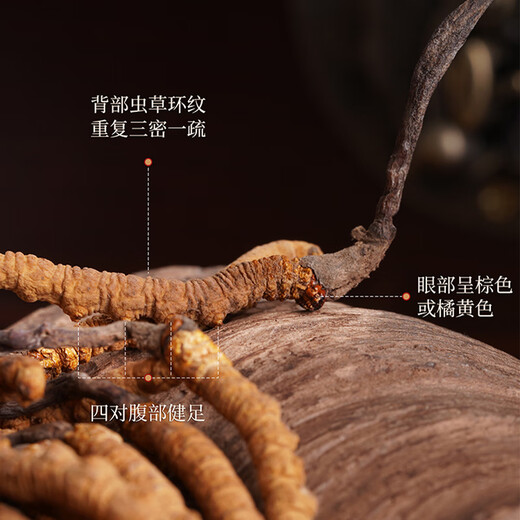 胡庆余堂官方自营正品冬虫夏草礼盒32#900mg x10瓶送长辈领导端午节礼品