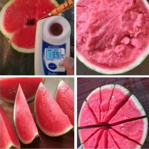 Wangyuanxing Daguomeidu Watermelon Seeds Resistant to Cracking Big Red Flesh Rock Sugar Kirin Super 8424 Crispy Sweet Watermelon Seeds 50g Can Daguomeidu 2 Cans