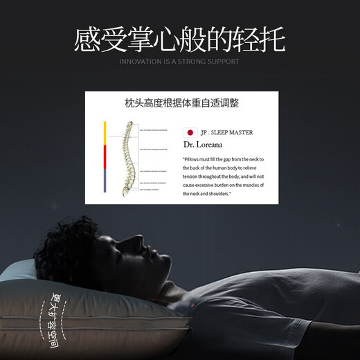 IS LIVING down pillow core imported three-dimensional white goose down pillow five-star hotel pillow space pressure-free sleeping single pillow Tencel style
