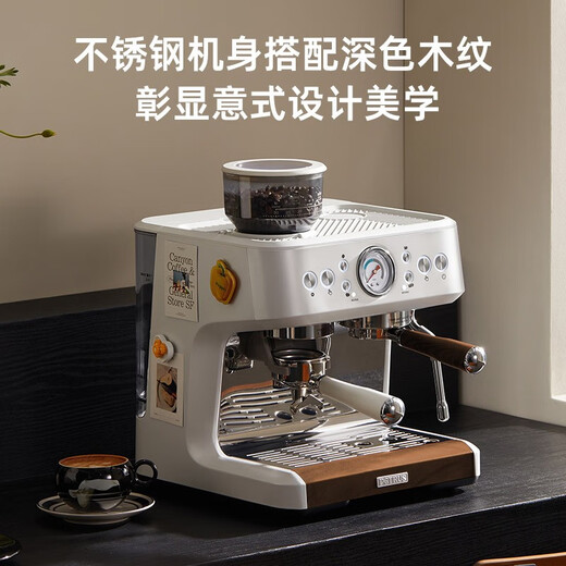 柏翠意式咖啡机家商用全半自动研磨一体机小型浓缩奶泡机双泵双炉 PE3899 节日礼物 星光海盐白（ 下单前咨询送惊喜赠品 ）