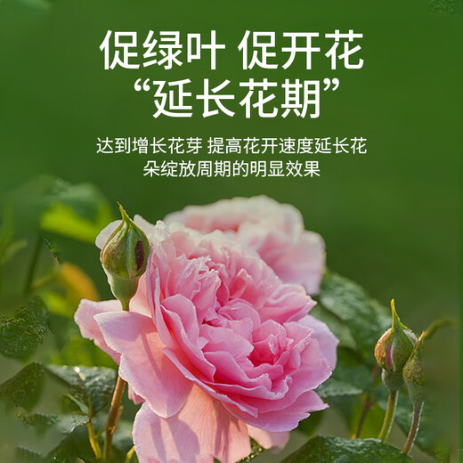 Manlife plant nutrient solution 600ml*2 universal green plant green dill flowers hydroponic flowers potted flower fertilizer bird of paradise