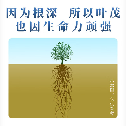 正山顶乌龙茶顶蓝凤凰单枞石古坪乌龙特级500g足火茶叶礼盒装畲族传承