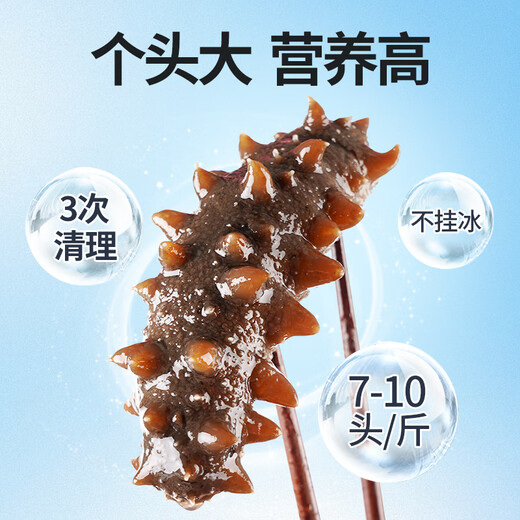 Guanshentang Dalian ready-to-eat sea cucumber 1Jin Jin is equal to 0.5kg 7-10 pieces Frozen sea cucumber seafood simple package more than 85% solid content