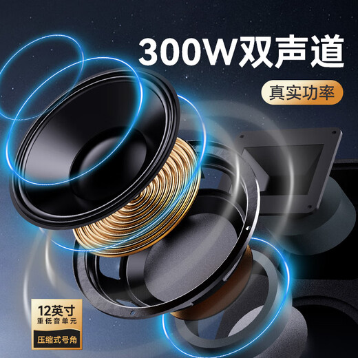 HiVi Outdoor Trolley Speaker Square Dance Singing Karaoke Speaker Karaoke Microphone Amplifier All-in-one Professional Instrument Performance Grade Bluetooth Connection MF12