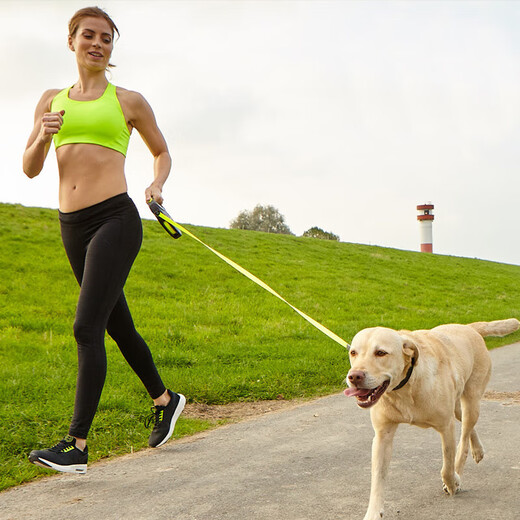 FLEXI giant series dog leash automatic retractable chain belt dog leash L8 m black/fluorescent yellow