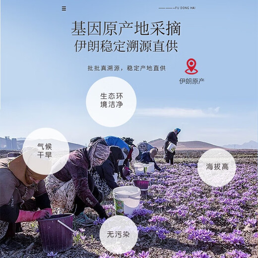 福东海伊朗藏红花礼盒12克 【礼物】特优级全长红丝花柱女性滋补 【伊朗】A7藏红花12克礼盒