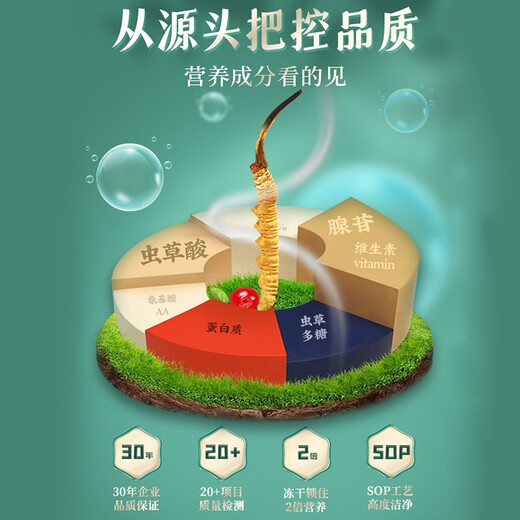 圣迪康藏 冬虫夏草 3-4根/克 纯肉节断草 高洁净度新鲜饱满冻干虫草 1克装