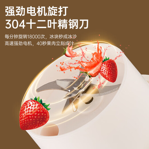 欧斯仑2024新品【德国品质】破壁机迷你小型榨汁机12叶刀头便捷式家用小型榨汁杯可碎冰充电式果汁机 【12叶精钢刀头】高速纯铜电机20000转 典雅绿【赠吸管 吸管刷】350ML