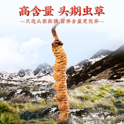 Tongfu cordyceps Sinensis 2 корни/G 1G упаковка. Первый период новых Cordyceps Sinensis Высококачественные сухие товары без перерыва.