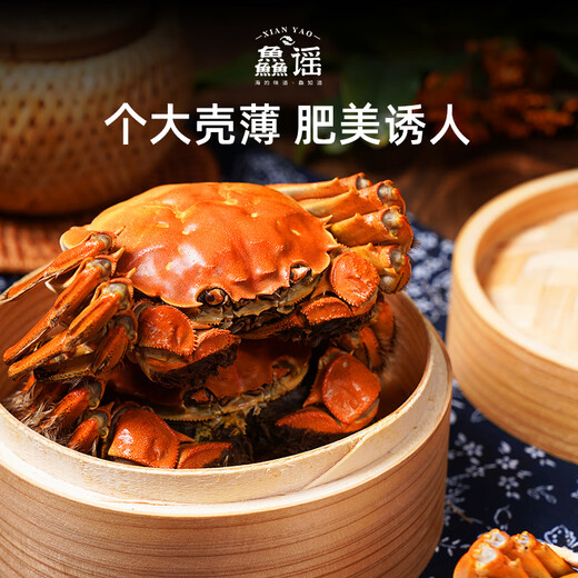 Live crabs, hairy crabs, whole female, 4.0-4.3 pairs, 4 pairs, 8 pieces, rope-free, full weight, fresh crabs, ready-made, fresh crab gift box, Xinghua, direct from the source