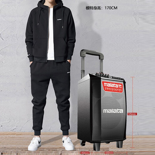 Malata L15 outdoor street Bluetooth wireless audio square dance lever speaker home 15-inch subwoofer microphone electric acoustic guitar bass folk singing instrument speaker M+9058