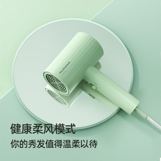 FLYCO hair dryer foldable blower negative ion hair care student dormitory high-power home barber shop hotel hair dryer FH6296 1800W non-foldable green