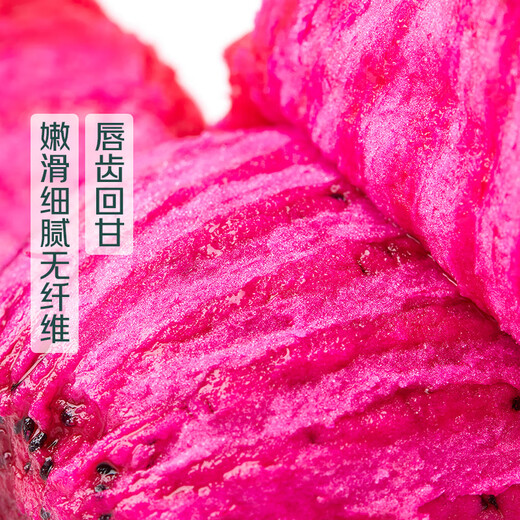 3 pieces of domestically produced red dragon fruit, harvested directly from the place of production, approximately 1.1kg