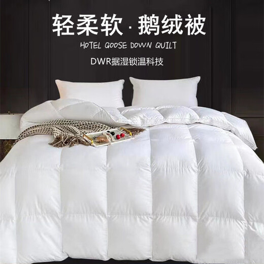高档家纺床品白鹅绒羽绒被芯冬季加厚保暖羽毛被子家用宿舍双人被 鹅绒被/白色 150*200cm【6斤】