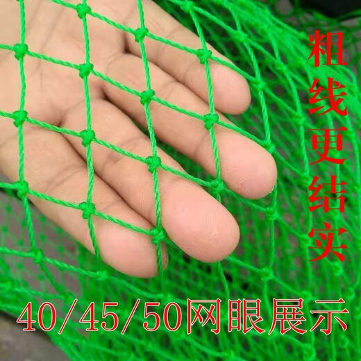 Baichao durable cyan fishing thickened handmade sturgeon net bag Daqing large material net large deepened fishing net big fish copy net Daqing net 24 strands caliber 40 deep 50 mesh 2 cm
