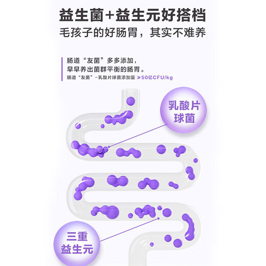 Weishi A2 Affinity Formula Goat Milk Powder for Cats 200g Nutritional supplement for growth and lactation cat nutrition