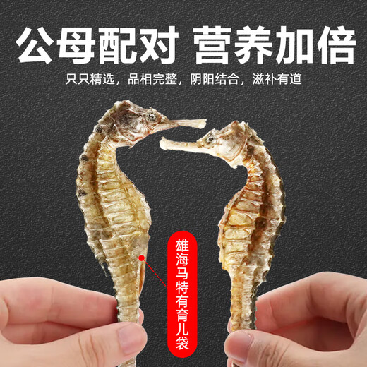 陆零后 三斑海马药材【CAWC认证】大型干海马干货公母一对海龙海马泡酒 【三斑海马1对】 6克