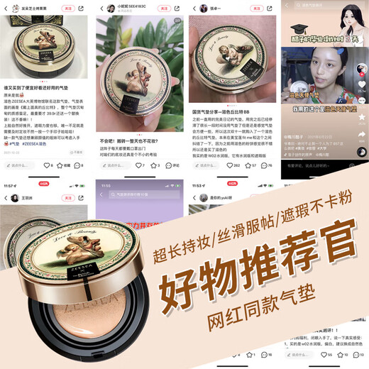 ZEESEA Nourishing Angel Concealer Cushion BB Cream Brightening Long-lasting Makeup Foundation Concealer Natural Color 13g*1 Birthday Gift