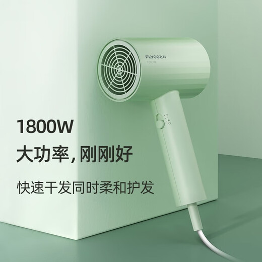 FLYCO hair dryer foldable blower negative ion hair care student dormitory high-power home barber shop hotel hair dryer FH6296 1800W non-foldable green