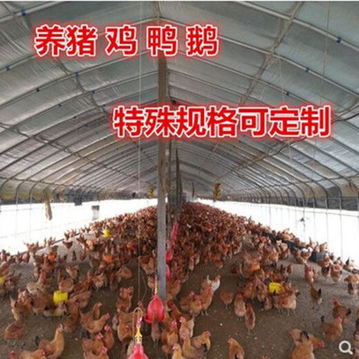 Qinkai black and white film sun protection insulation film thickened anti-aging breeding greenhouse film black and white film boutique 20S longevity black and white film thickened (durable 7 years) 6 meters wide and 10 meters long