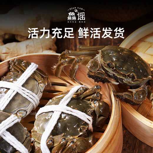 Live crabs, hairy crabs, whole female, 4.0-4.3 pairs, 4 pairs, 8 pieces, rope-free, full weight, fresh crabs, ready-made, fresh crab gift box, Xinghua, direct from the source