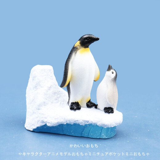 Little penguin ornaments mini simulated animal scenes static cute set cognitive cartoon small doll model toys set of 8 models