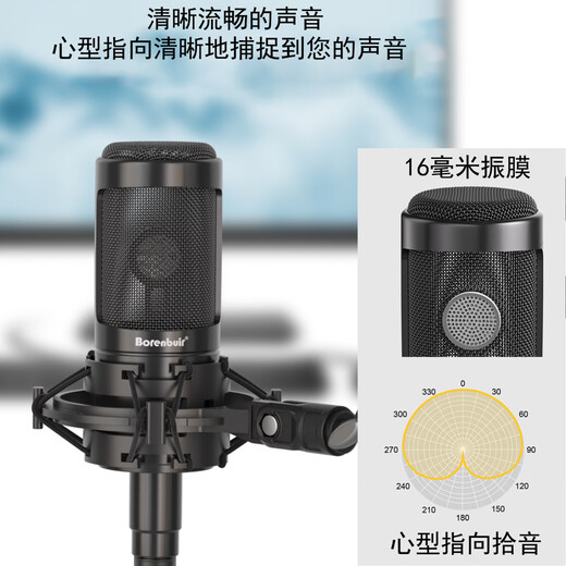 Burren Bell BL-500 condenser microphone audiobook recording equipment professional anchor recitation dubbing broadcast set recording studio grade BL-500 microphone standard