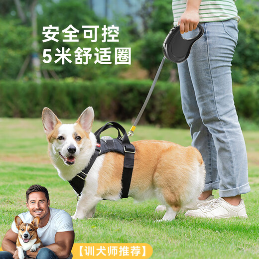 Hippidog new dog outing solid color versatile automatic traction rope retractable cat walking rope dog walking rope pet traction rope Ori powder 3 meters universal for dogs and cats