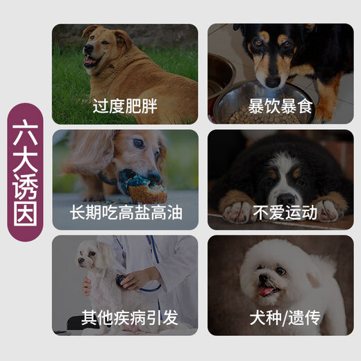 Pubeis easy-to-digest low-fat prescription dog food, hypoallergenic dog food, pancreatitis dog food, weight control formula, natural staple dog food, gastrointestinal support, large packaging, 1.5kg*6 pack