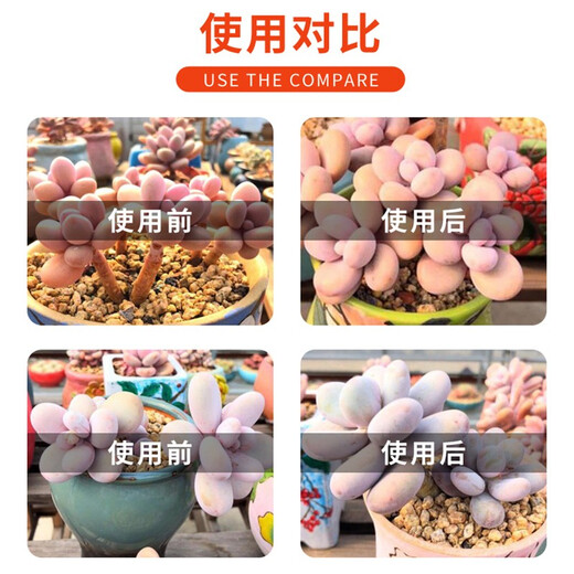 Chrysanthemum agent plant Chrysanthemum chrysanthemum general flowers and trees narcissus flowers succulent paclobutrazol chrysanthemum multi-effect 50ml