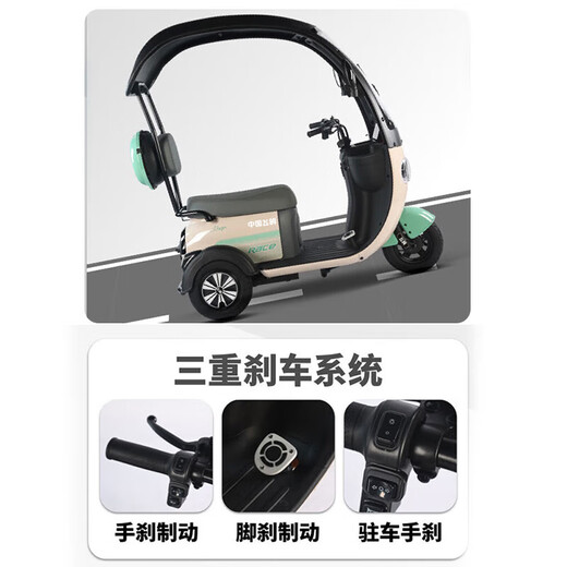 Flying Pigeon electric tricycle, small household scooter for women to pick up and drop off children, new electric tricycle with built-in canopy, 600W 48V23A black gold + 80 miles of battery life